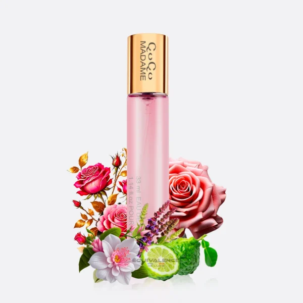 Zoom sur le flacon QOQO Madame 33ml – Design élégant et format pratique, un parfum inspiré pour les femmes modernes.