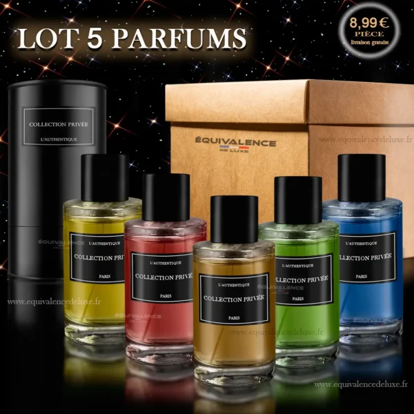 Découvrez le lot de flacons de parfum Collection Privée, présenté avec un exemple d’emballage élégant et un carton d’expédition prêt pour la vente en gros. Idéal pour démarrer une activité à petit prix ou offrir des produits haut de gamme.