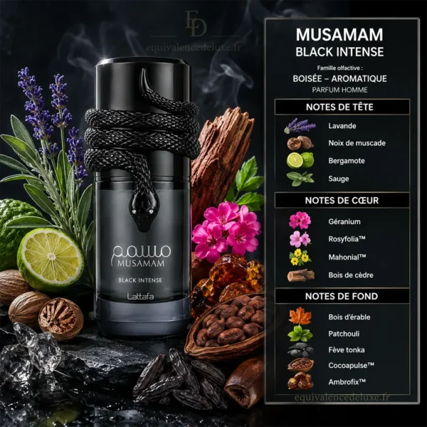 Notes olfactives Musamam Black Intense Lattafa avec lavande, noix de muscade, cèdre, tonka, patchouli, Cocoapulse et Ambrofix