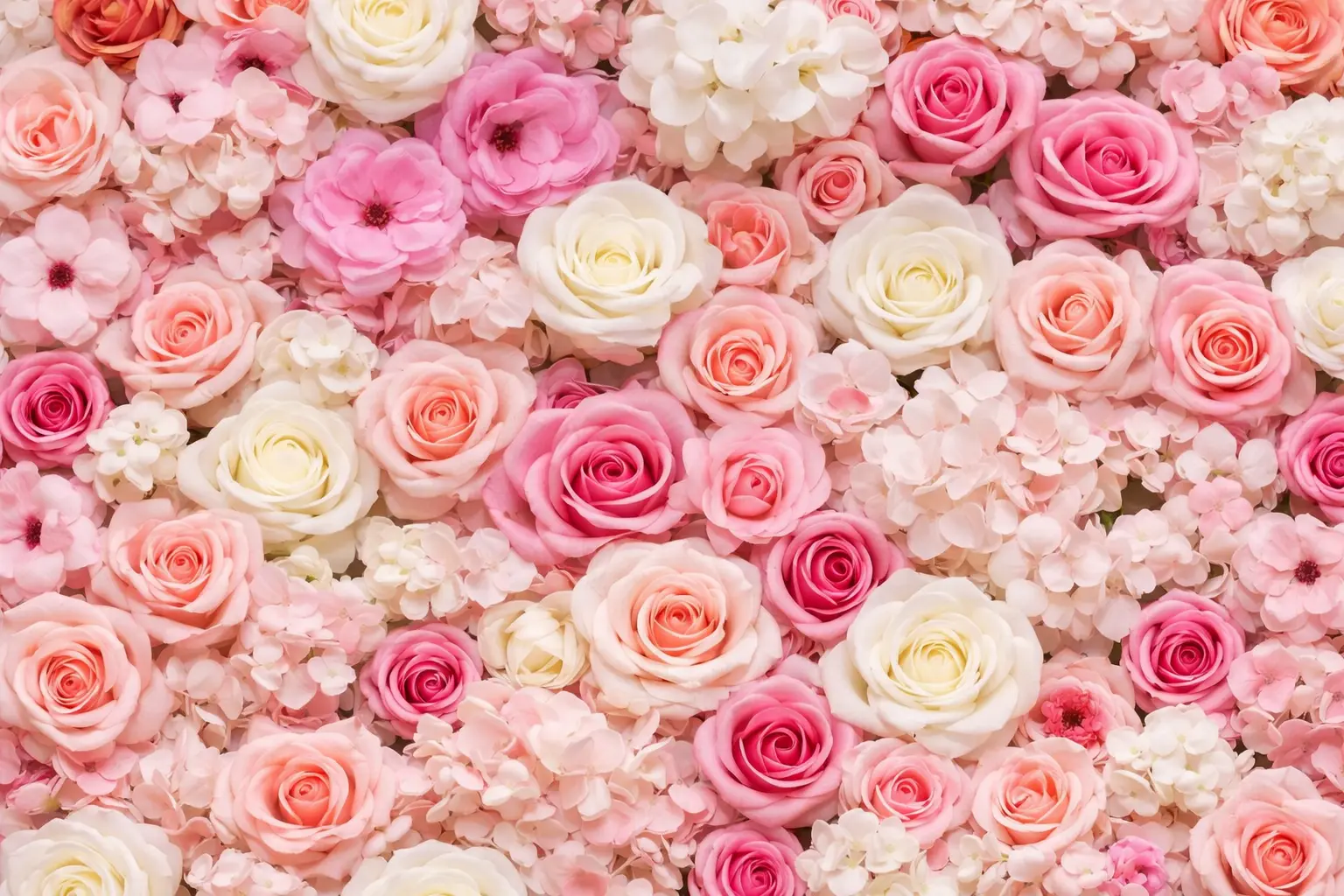 parfum floral femme guide famille olfactive rose jasmin fleur d'oranger fleurs blanches